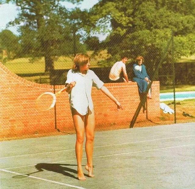 还将凭借集 还将凭借集